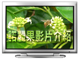 珍果簡介
